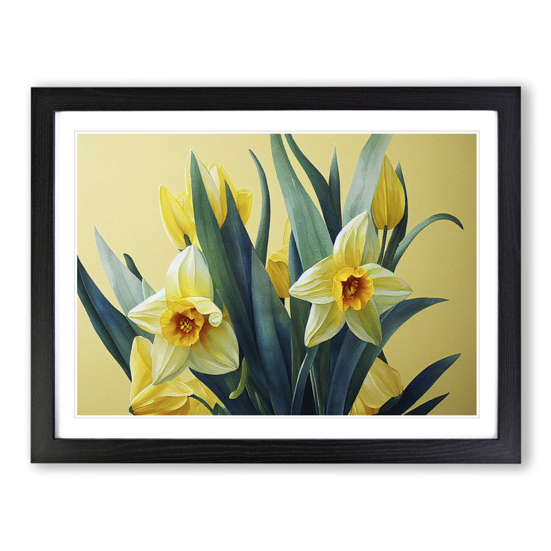Contoured Daffodil Flowers - Framed Print, Black, 34cm H x 46cm W x 2cm D