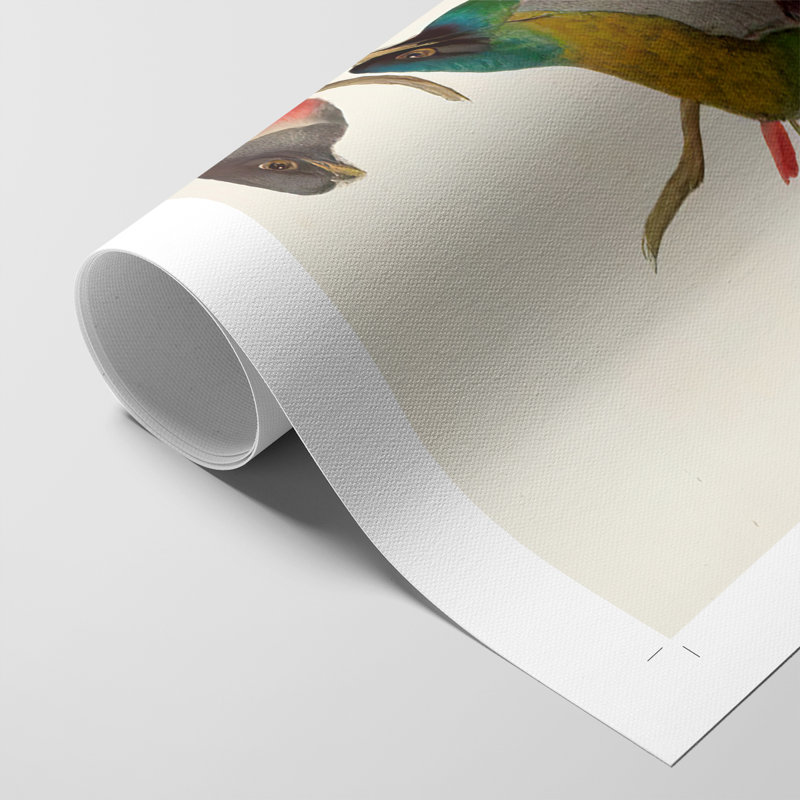 ElegantTrogonsIX - Impression sur toile seulement - NON-CADRE, H 12 po x l 8 po