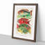 Great Barrier Reef Fishes by W. Saville-Kent - Picture Frame Painting Print-55575487-55575488