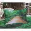 Drap-housse et coussin décoratif Ambesonne Tropic brun-vert pâle-106789344