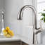 MODLAND Kitchen Faucet-87119720