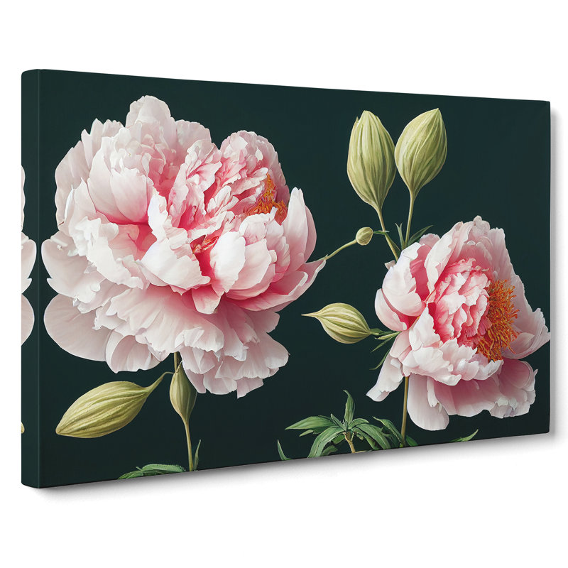Fascinating Peony Flowers - Wrapped Canvas Print, 40cm H x 60cm W x 3cm D