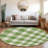 Colzie Gingham Indoor / Outdoor Rug-109583088
