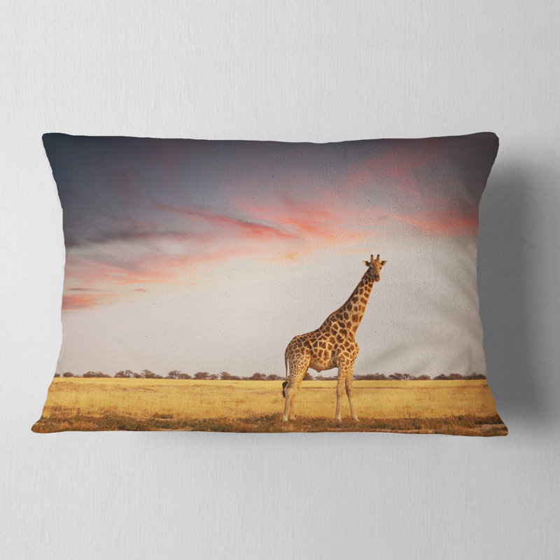 Coussin africain