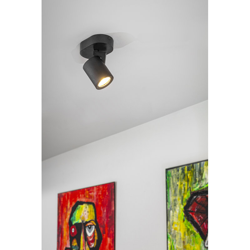 Regalado Spotlight, Black