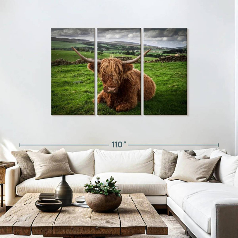 Mellow Highland Cow, 48" H x 74" W