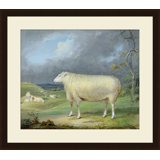 A Proper Sheep Giclee Print by Soicher Marin Archives
