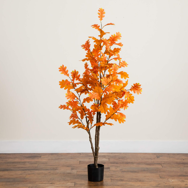 5 pi. Chêne artificiel d'automne