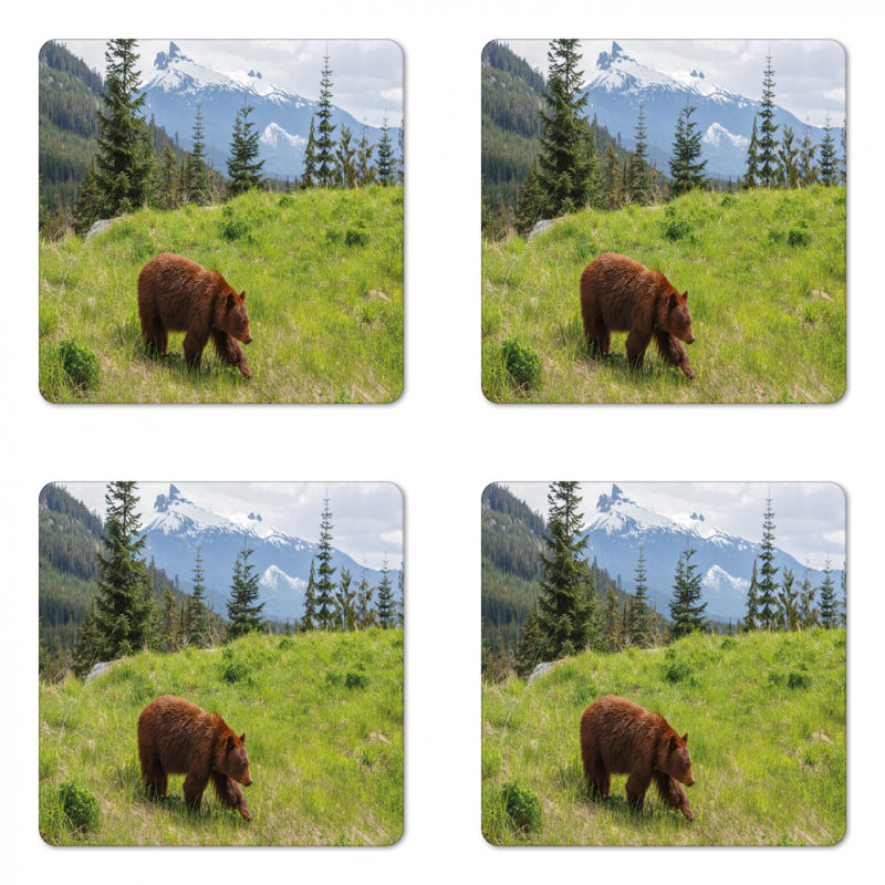 Square 4 Piece Coaster Set