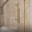 Levity Plus Less Sliding Bath Door, 61-9/16 In. H X 56-5/8 - 59-5/8 In. W, With 5/16 In.-Thick Crystal Clear Glass-168319132