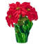 18 po poinsettia imperméable en pot 