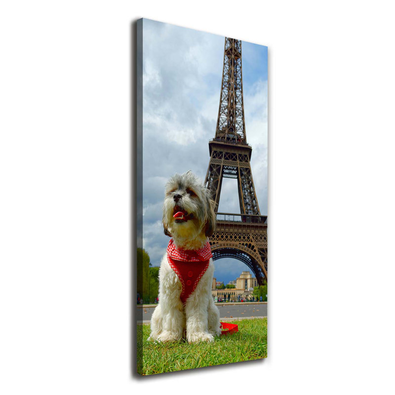 Dog In Paris - Wrapped Canvas Print