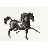 Horse H6 Print by Chris Paschke