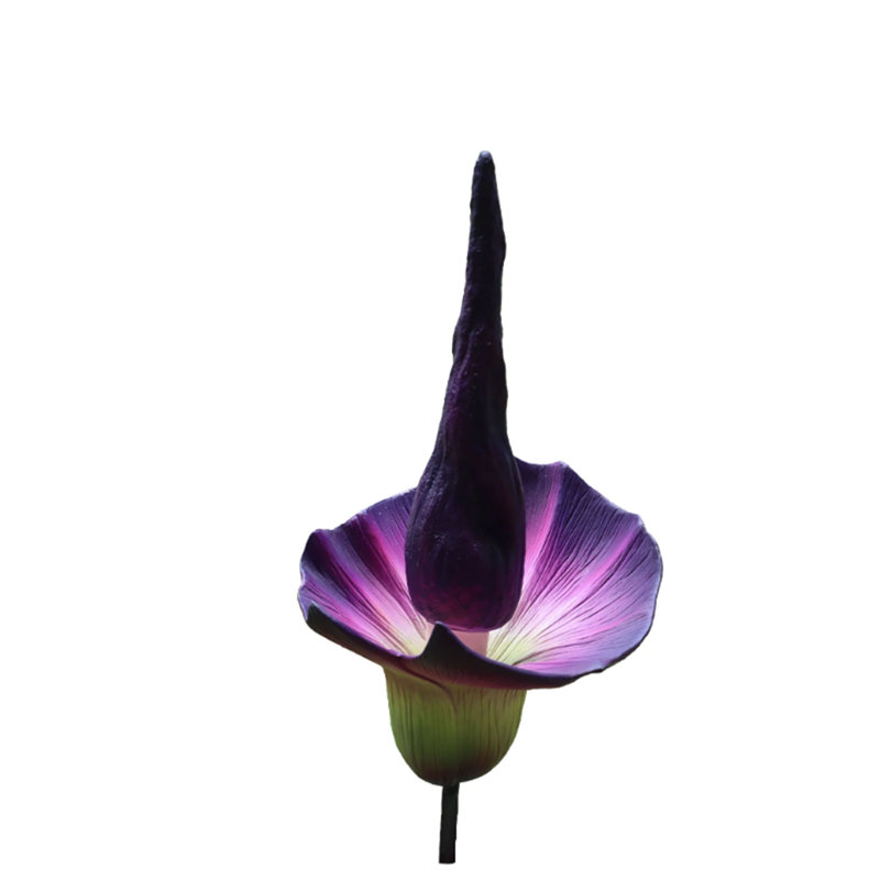 Statue mauve mauve