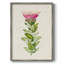 «Pretty Pink Botanicals IV», reproduction encadrée - bois massif 2768831-1186526842