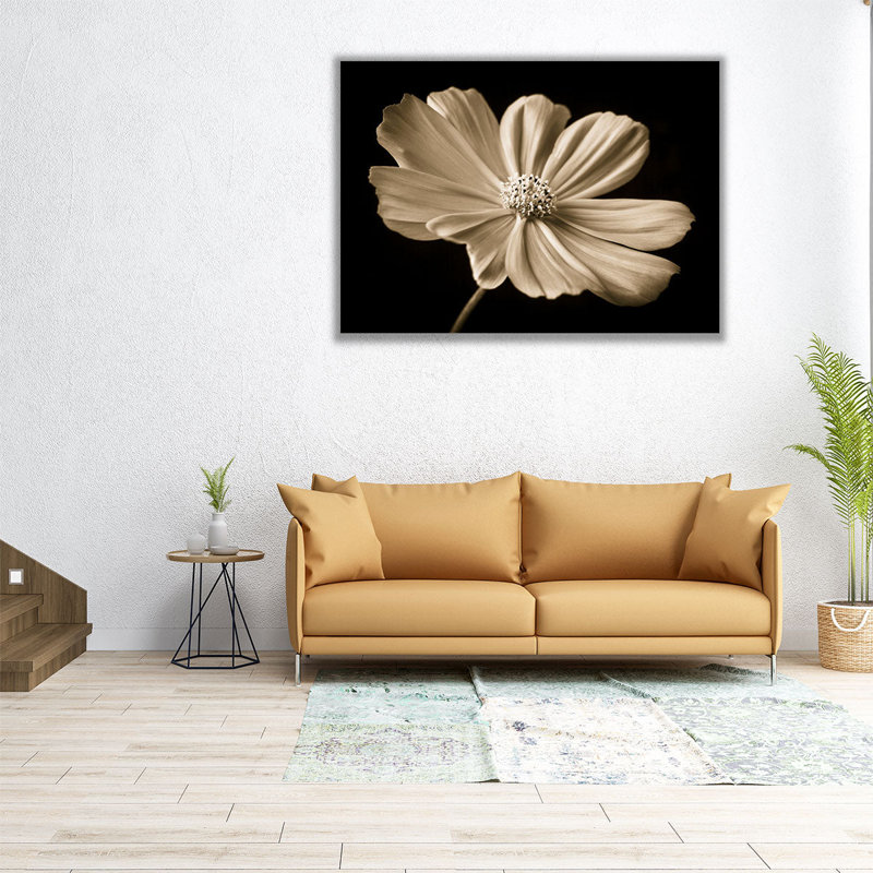 Cosmos Flower - reproduction d'art sur toile, H 18 po x l 24 po