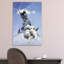 «Silver Warrior» - reproduction-52365942-52365945