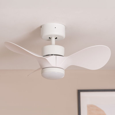 Cayleeann 24cm Ceiling Fan with LED Lights