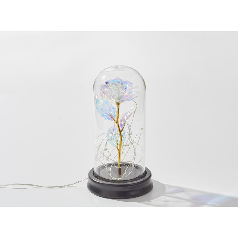 Darrah Landscape & Nature Cloche Or Water Globe