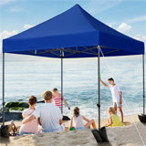 Camdyn 10 Ft. W x 10 Ft. D Steel Pop-Up Canopy