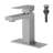 Single Handle Stainless Steel Bathroom Faucet-103539564