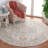 Hamilton Performance Oriental Rug-298821269