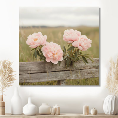 Photo de pivoines dans le enclos à cheval I - pivoines, art mural