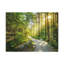 No Frame Print on Canvas-538987128