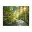 Wall Art on Canvas-538987128