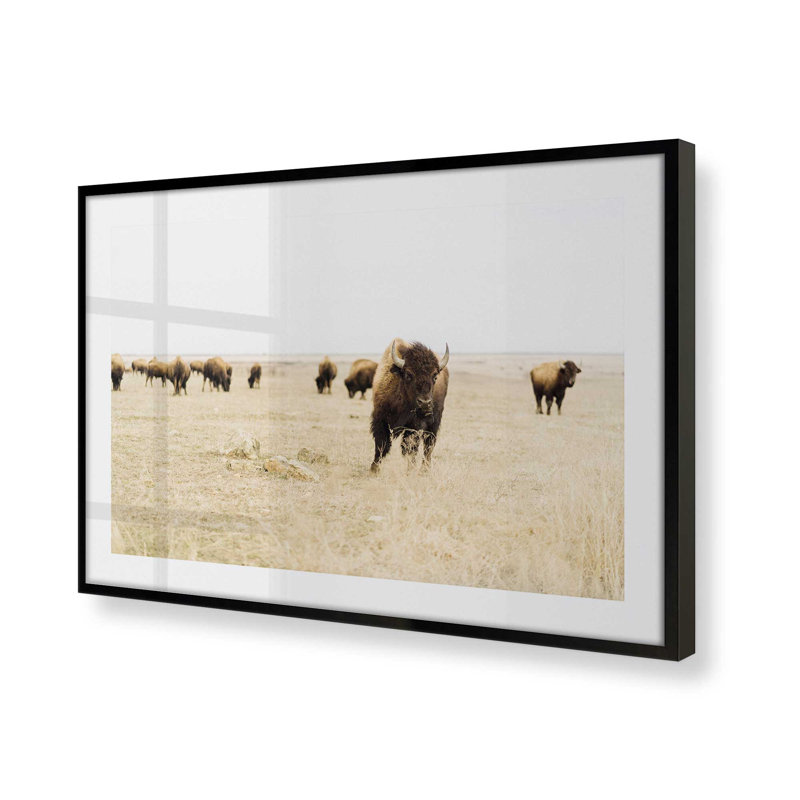 Wild Plains Print, 25" H x 37" W x 1.25" D, Satin Black Framed