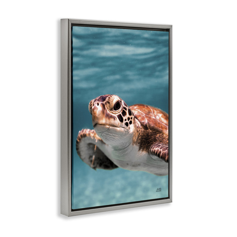 Tortue de mer sous l'eau, toile flottante de Max Blakesberg Studios, Cadre flottant gris lustré, H 31 po x l 21 po