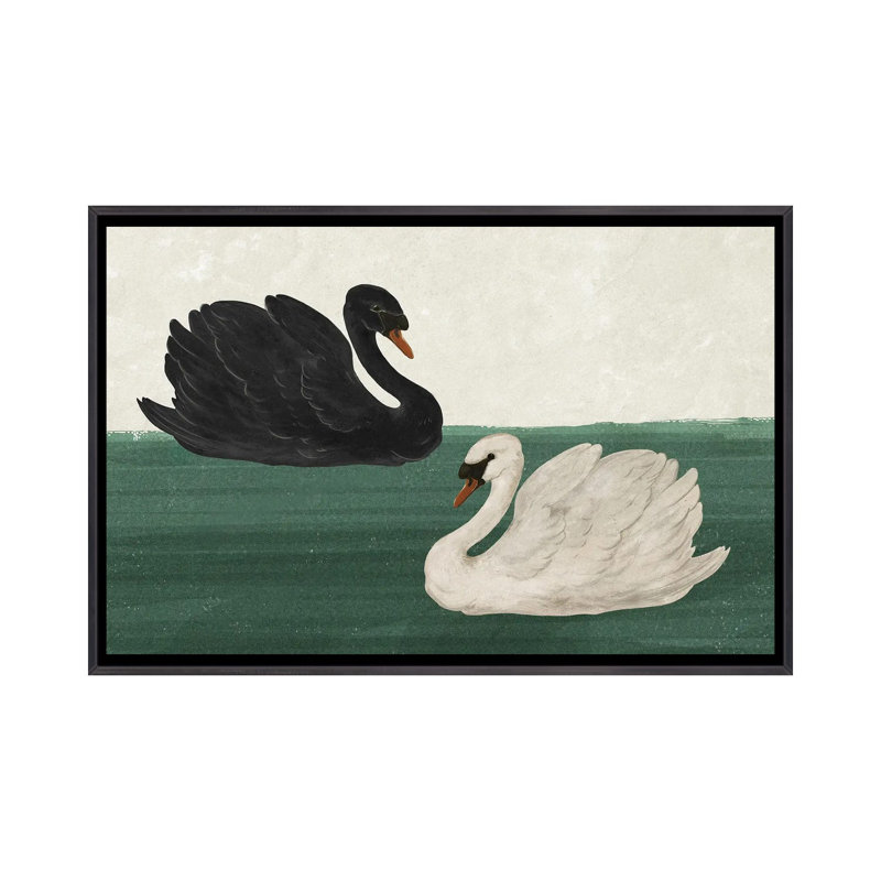 Cygne noir cygne blanc_1PC6, Cadre flottant noir patiné, H 18 po x l 26 po