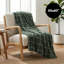 Jeté en molleton - 50 x 60 pouces - Motif de fenêtre moderne Dash - Soft Warmth - Vert-125469747