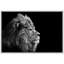 Un lion sur fond noir, estampe numérique sur toile-93629050-93629049
