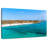 Gillard Boca Catalina Paradise