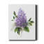 Lilas Romance I - reproduction d'art sur toile tendue-696478139