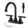 Centerset 2-handle Bathroom Faucet with Drain Assembly