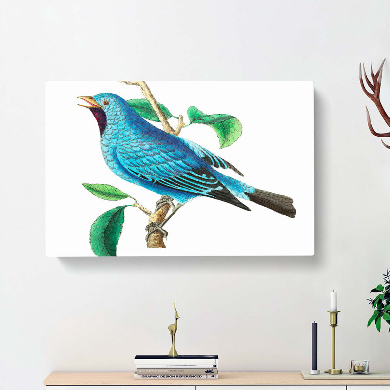 Blue Chatterer Bird by George Shaw - Wrapped Canvas, 35cm H x 50cm W x 3cm D