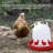 Fridlund Waterer