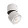 LED Spotlight