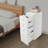 Rolling Storage Drawer Organizer