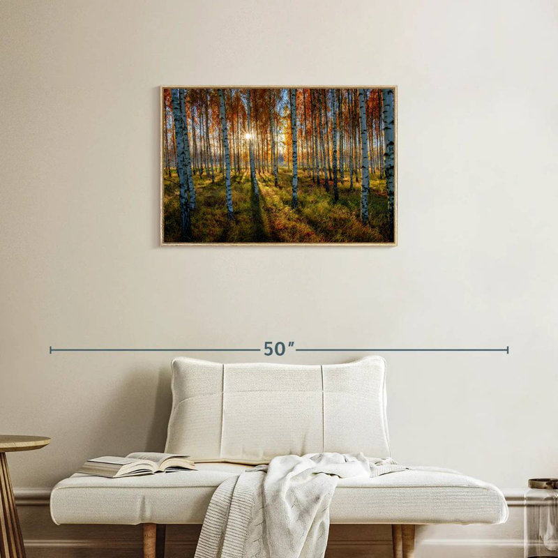 Forêt de bouleaux suédois, Cadre flottant en bois naturel, 31 po x 21 po