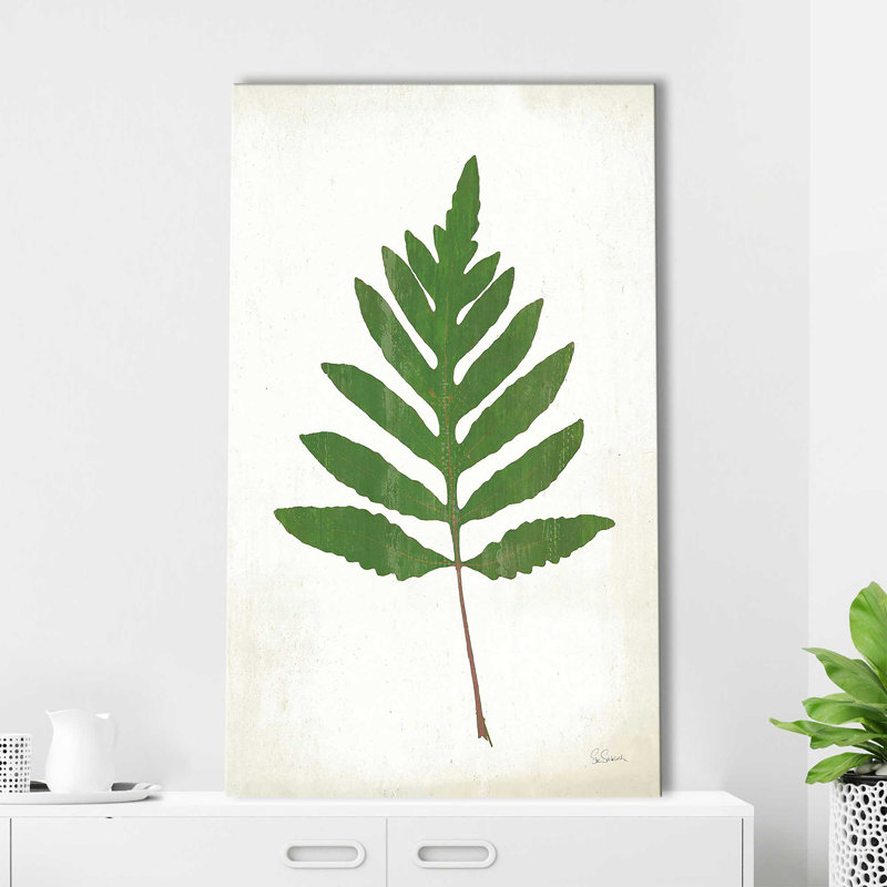 «Chalkboard Fern Green I» par Sue Schlabach - impression, Toile tendue, H 48 po x l 28 po x P 1,5 po