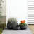 12 in. Pearl White(Upgraded Interior) Small Concrete Round Planter/ Pot Indoor & Outdoro Planter Bowl with Drainage Hole-579127642-541061316