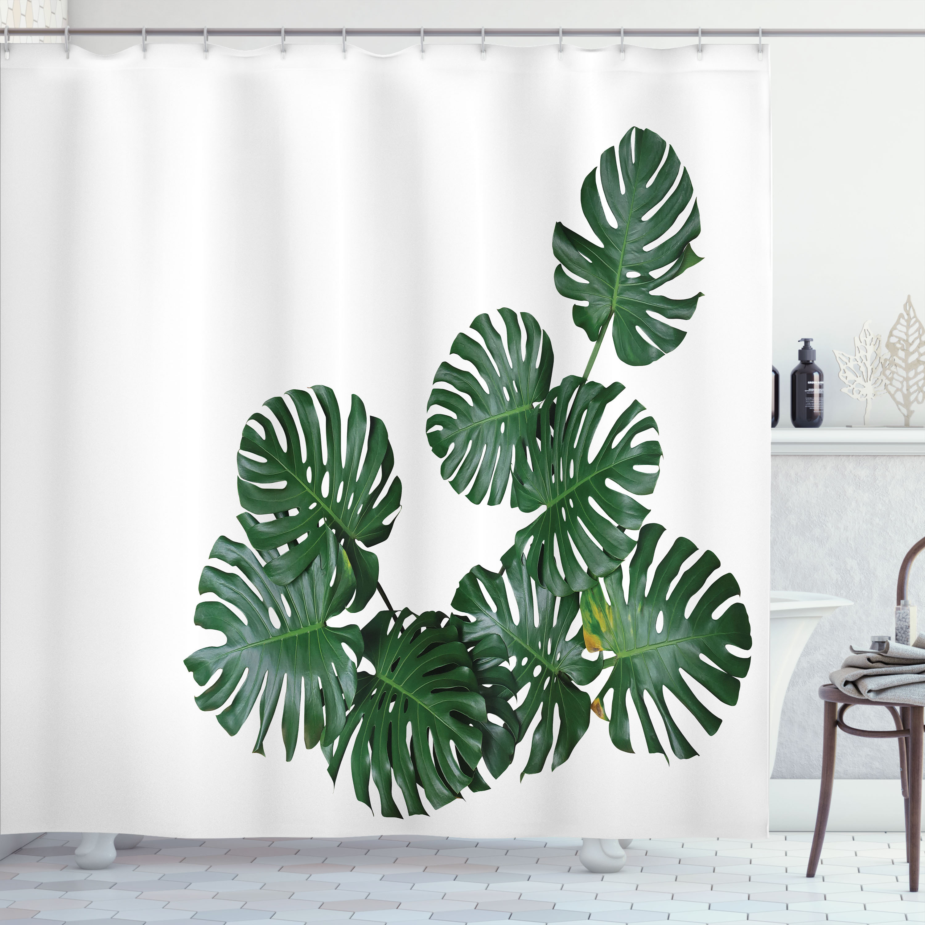 silver stripe pothos Philodendron 'Silver Stripe' or 'Rio' Vines  Wasson Nursery