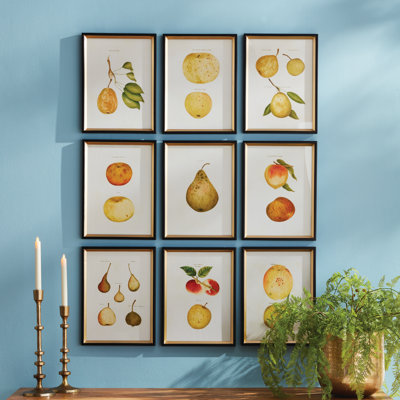 Assorted Fruits Study Prints