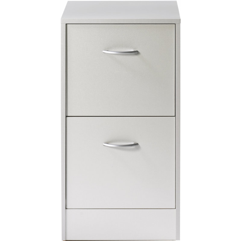 Caulkins 41.4cm Wide 2 -Drawer File Cabinet, Aluminium