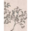 Delicate Olive Branches by Josie George — Botanical Wall Art-1884019018-1884019010-1884019033