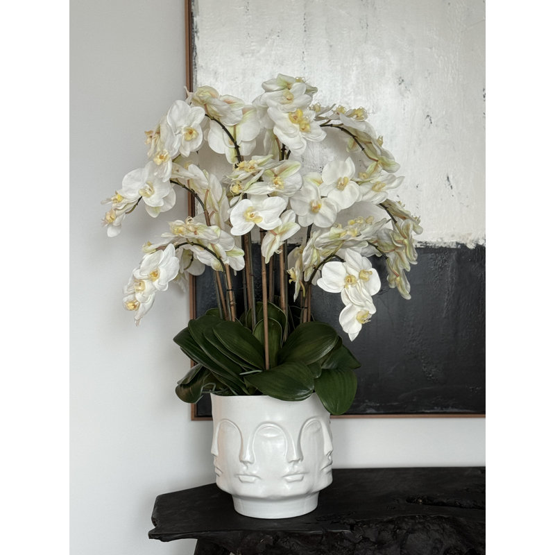 Matte Visage Vase With White Orchids
