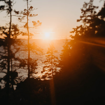 " Maine Sunsets " by Chelsea Kedron